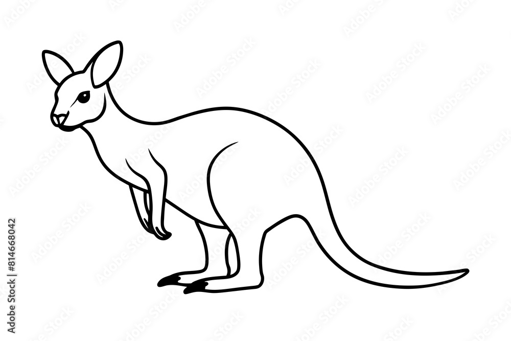 wallaby line art silhouette illustration wallaby line art silhouette illustration