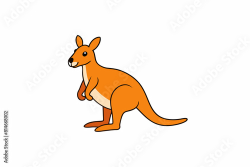wallaby cartoon vector illustration
