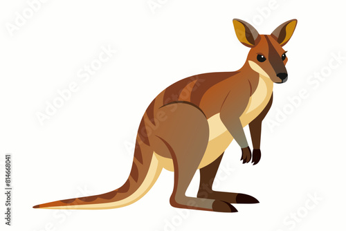 wallaby cartoon vector illustration