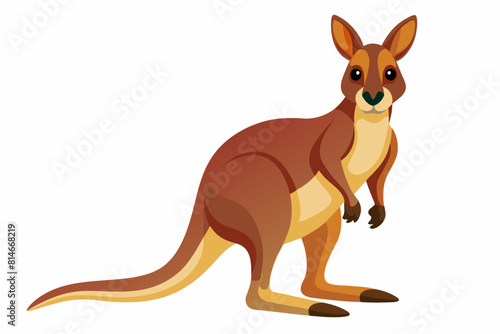 wallaby cartoon vector illustration