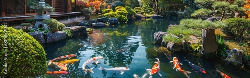 A pond with a few koi fish swimming in it. The pond is surrounded by rocks and bushes