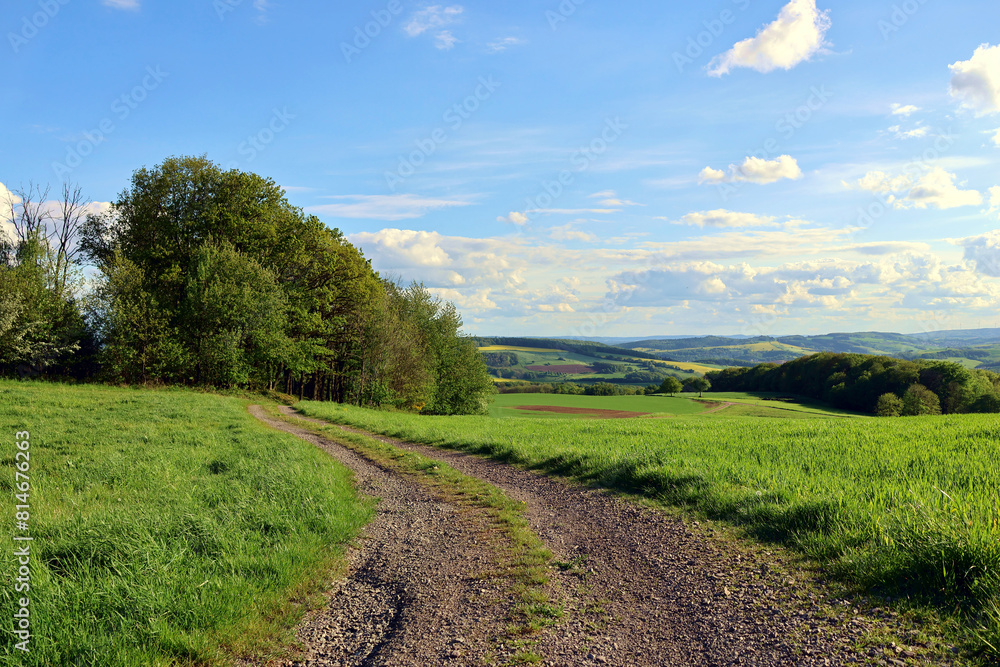 Fototapeta premium Landschaft an einem Feldweg im Nordpfälzer Bergland in der Nähe von Föckelberg im Landkreis Kusel im deutschen Bundesland Rheinland-Pfalz. Aussicht vom Premium-Wanderweg Potzberg Wanderweg. 