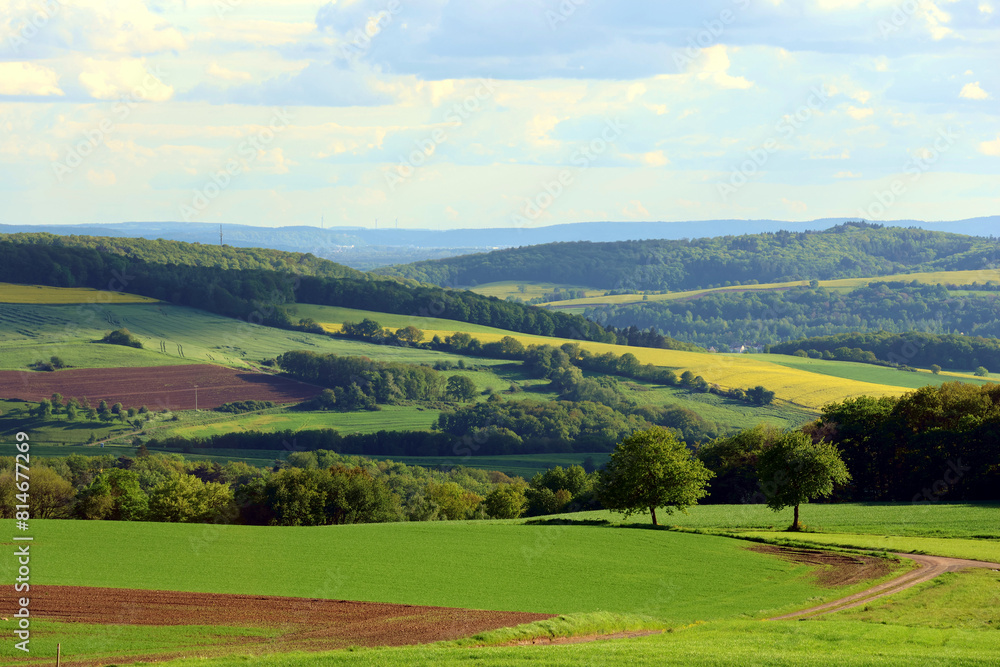 Obraz premium Hügelige Landschaft im Nordpfälzer Bergland in der Nähe von Föckelberg im Landkreis Kusel im deutschen Bundesland Rheinland-Pfalz. Aussicht vom Premium-Wanderweg Potzberg Wanderweg. 