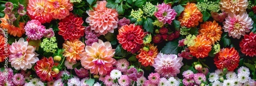 Flowers wall background with amazing red, orange, pink, purple, green and white chrysanthemum flowers