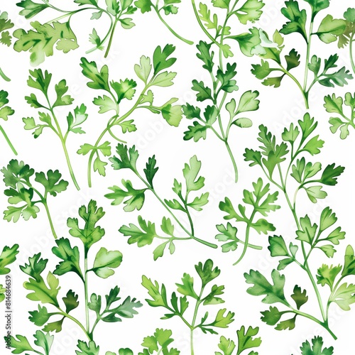 Seamless Pattern of Fresh coriander Leaves 