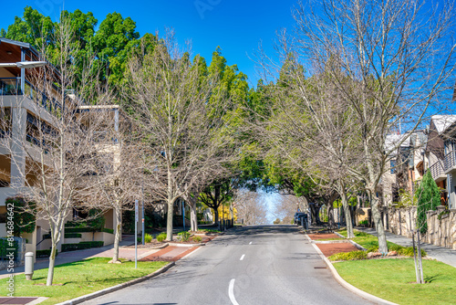 A tree-lined avenue in Perth