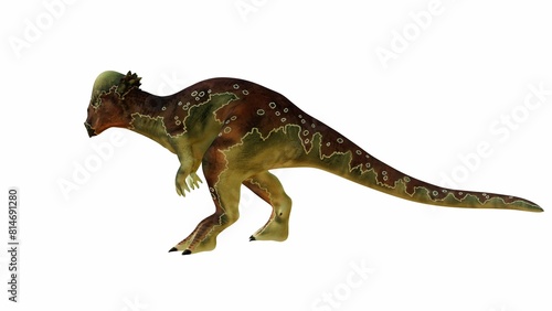 Detailed 3D Illustration of a Pachycephalosaurus on Isolated Background