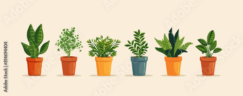 Potted plants vector collection on white background.. vector simple illustration