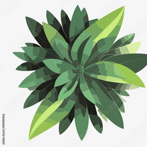 Exotic flora and vegetation of rainforests and jungles, isolated tropical leaves. Set of banana and palmetto, palm and monstera branches. Botany and decoration in realistic 3d cartoon vector