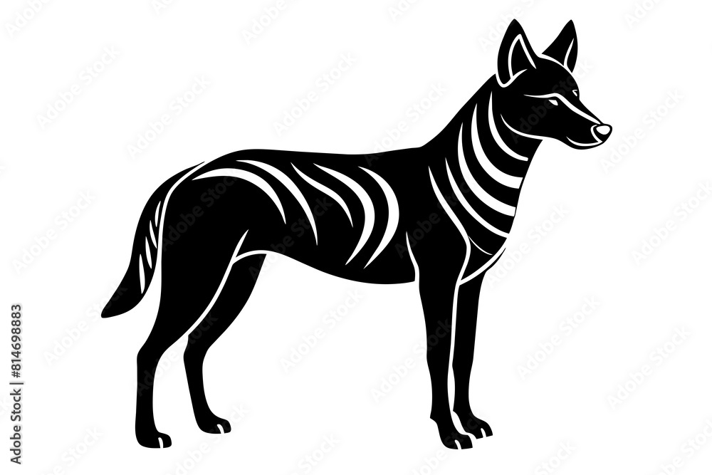 dingo line art silhouette illustration dingo line art silhouette illustration