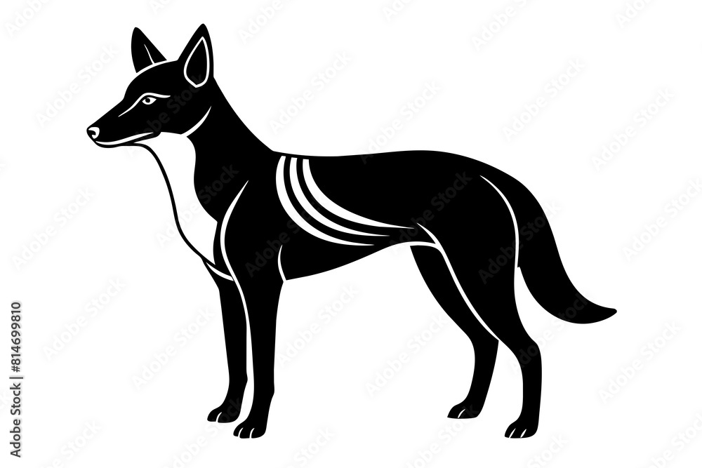 dingo line art silhouette illustration dingo line art silhouette illustration