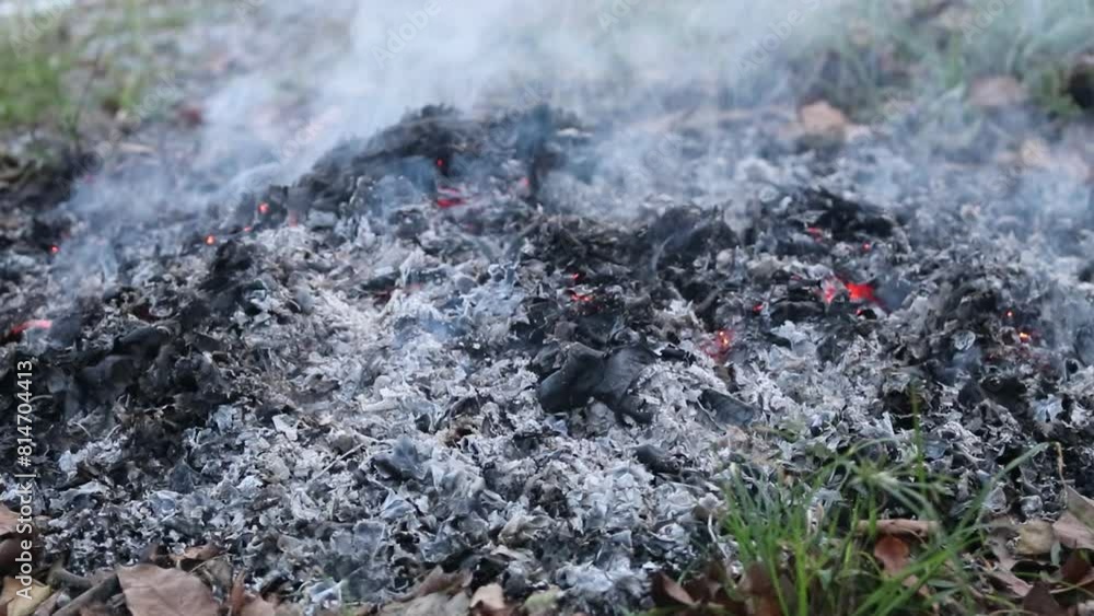 Smoke and bonfires are burning leaves, cleaning and eliminating large amounts of leaf fall during the dry season, but destructive removal, generating more carbon dioxide. Smoke and bonfires are burning leaves, cleaning and eliminating large amounts of leaf fall during the dry season, but destructive removal, generating more carbon dioxide.