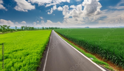 country road and green wheat fields natural scenery