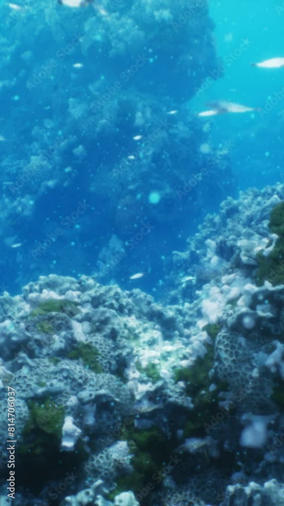 A vibrant underwater scene with a multitude of fish swimming around a colorful coral reef A vibrant underwater scene with a multitude of fish swimming around a colorful coral reef