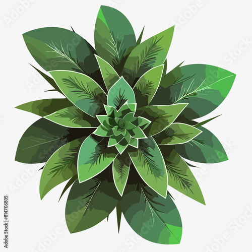 Exotic flora and vegetation of rainforests and jungles, isolated tropical leaves. Set of banana and palmetto, palm and monstera branches. Botany and decoration in realistic 3d cartoon vector