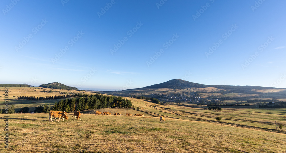 Fototapeta premium Mont d'Alambre à côté du Mont Mézenc aux Estables en Haute Loire, paysage volcanique en été en France