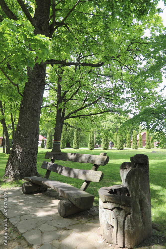 Fototapeta premium bench in the park