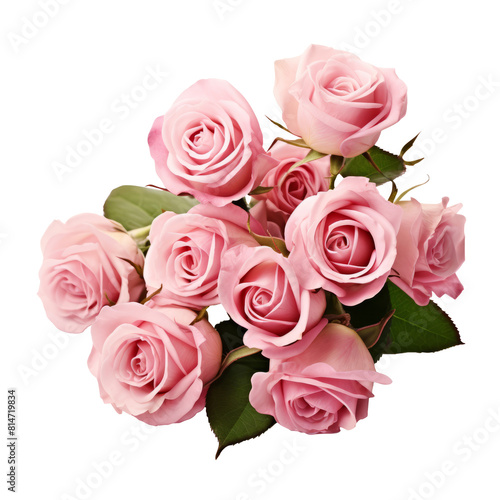 Beautiful pink rose flowers arrangement isolated. Isolated with clipping path.