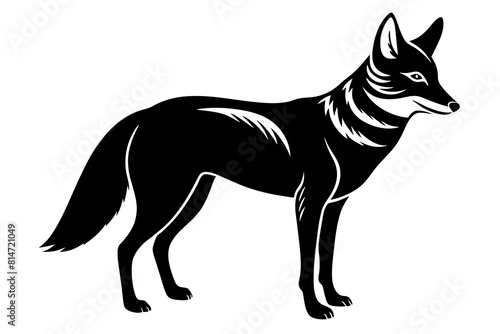 coyote line art silhouette illustration