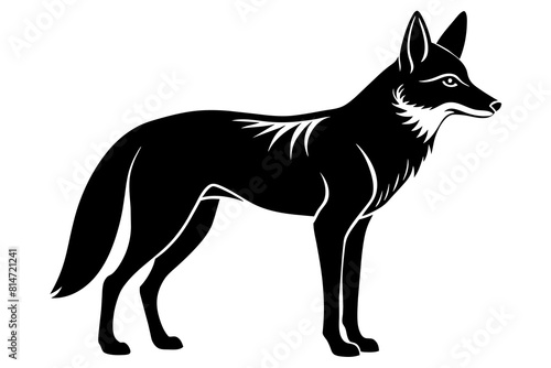 coyote line art silhouette illustration