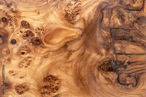 Texture of elm burl slab table top with inner knot in bizarre pattern as background