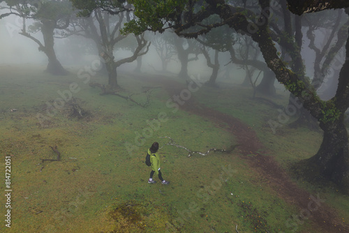 Woman walk in magical and misty place at Madeira island at fairy Fanal forest of laurel trees always shrouded in mist photo