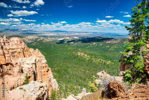 Amazing landscape of Bryce Canyon National Park in summer season, Utah