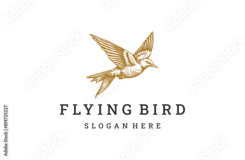 Flying bird logo icon design template vector illustration photo