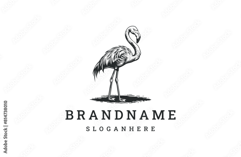 Pelican logo icon design template vector illustration