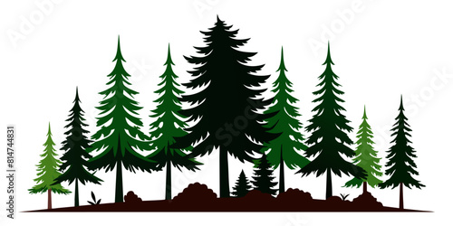 Pine Tree Forest Silhouette photo