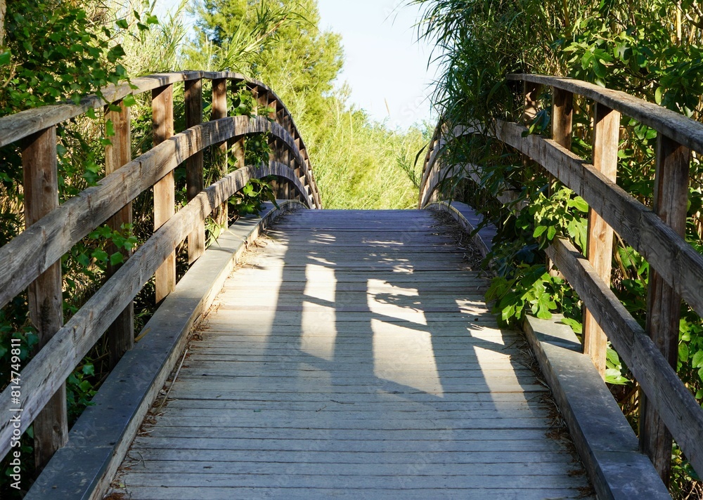 Wooden bridge on a summer afternoon with lots of vegetation around. Wooden bridge on a summer afternoon with lots of vegetation around.