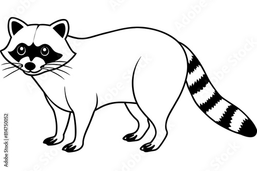 raccoon line art silhouette illustration