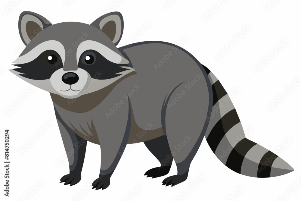 raccoon cartoon vector illustration raccoon cartoon vector illustration