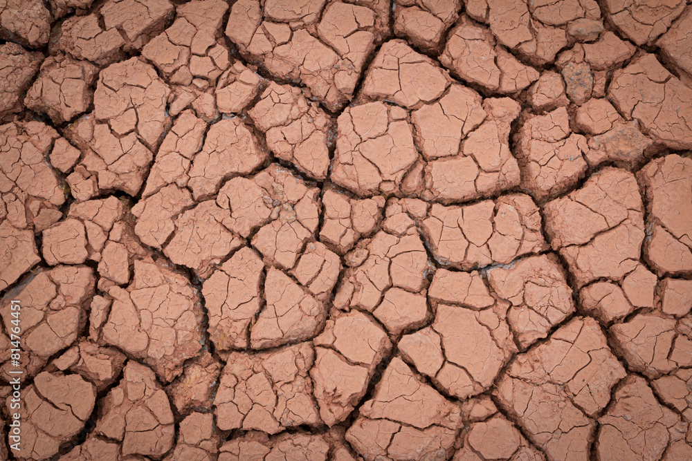 The red soil is cracked and cracked from drought and pollution. The red soil is cracked and cracked from drought and pollution.