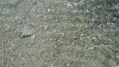 The surface of the pond with a rocky bottom. photo