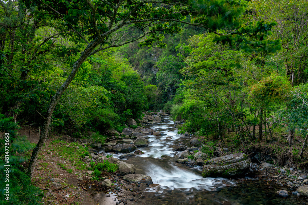 The Caldera River, flowing down through the cloud forest, Boquete, Panama, Central America - stock photo The Caldera River, flowing down through the cloud forest, Boquete, Panama, Central America - stock photo