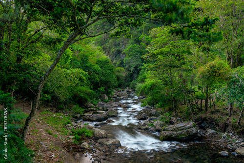 The Caldera River  flowing down through the cloud forest  Boquete  Panama  Central America - stock photo 