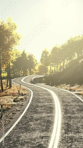 Wallpaper Mural Curvy asphalt road through forest in autumn Torontodigital.ca
