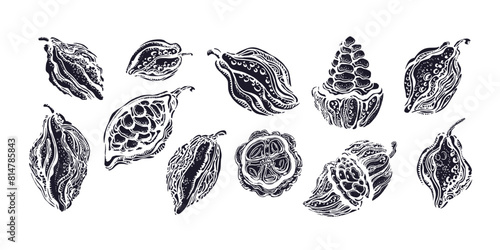 Cacao fruits texture art collection Dark chocolate