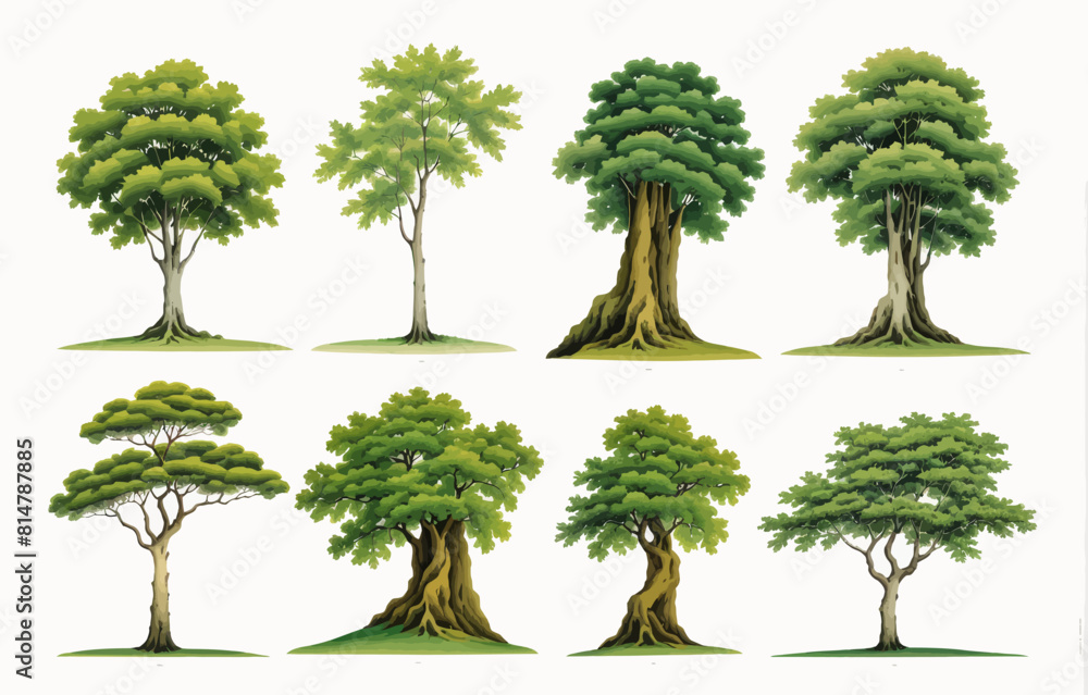 a bunch of trees that are in different stages of growth a bunch of trees that are in different stages of growth