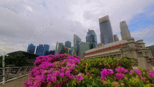 Sinngapore city, Singapore - 16th march, 2023: summer flowers in Singapore and skyline buildings background in metropolis asian Singapore city