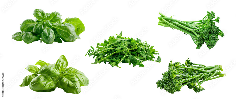 Fresh green leaves of basil florets of broccolini pile of arugula in center cutout set design elements Fresh green leaves of basil florets of broccolini pile of arugula in center cutout set design elements