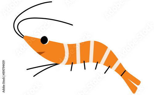 Shrimp single 1 cute, png illustration. photo