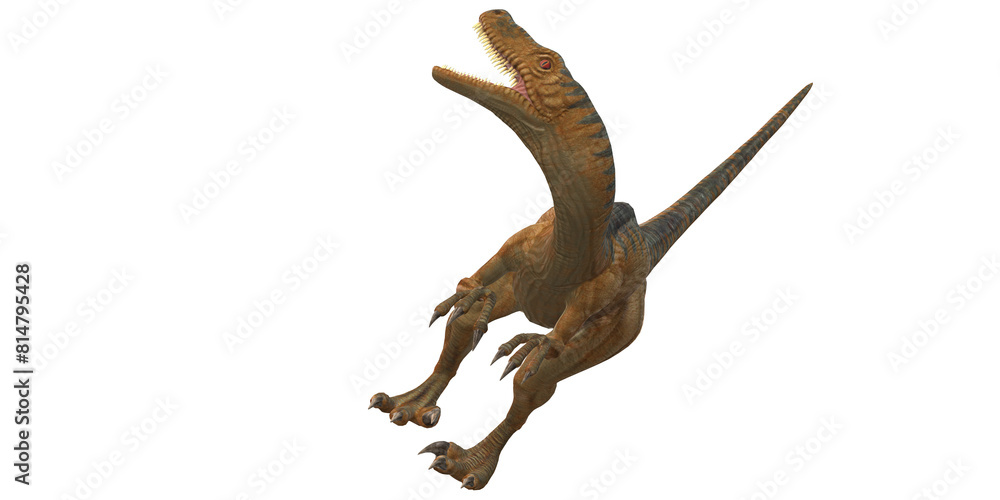 Velociraptor Dinosaur isolated on a Transparent Background Velociraptor Dinosaur isolated on a Transparent Background