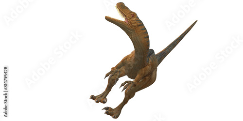 Velociraptor Dinosaur isolated on a Transparent Background