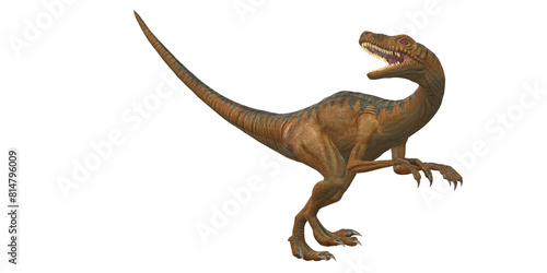 Velociraptor Dinosaur isolated on a Transparent Background