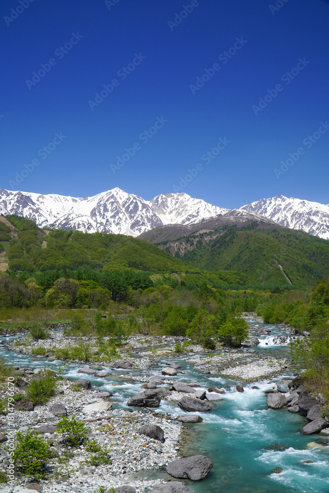 Fototapeta premium 新緑の白馬大橋から眺めた風景