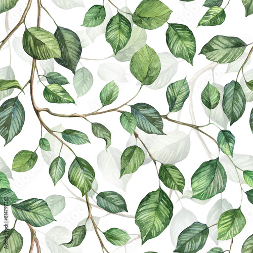 Square seamless pattern with ivy creeper plant. Watercolor hand painted green leaves background. Wallpapers and wrapping paper design