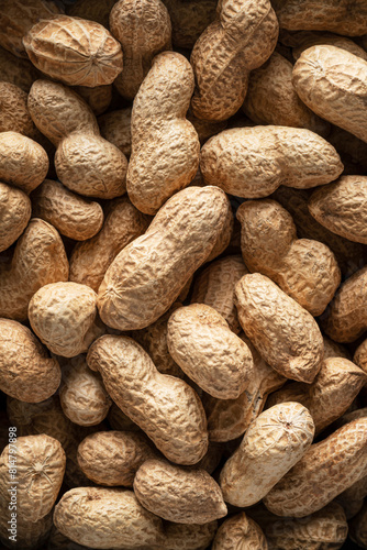 Peanuts (full picture, close-up) photo