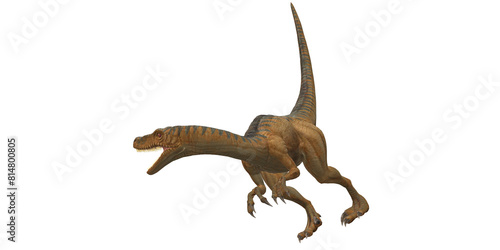 Velociraptor Dinosaur isolated on a Transparent Background